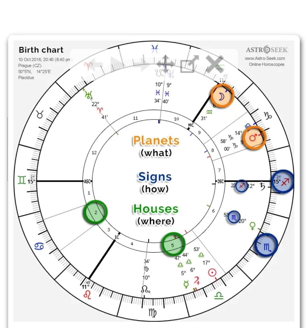 Traditional Western astrology birth chart showing zodiac signs, houses, and planetary positions